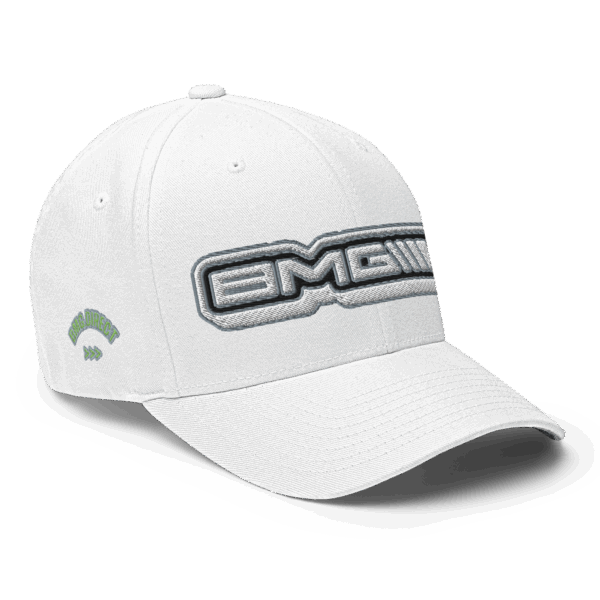Official Logo Embroidered Fitted Hat - Image 8